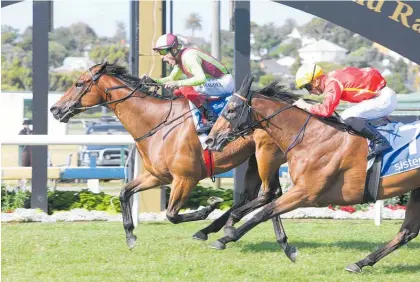  ?? Photo / Trish Dunell ?? Jason Waddell rode Julius to victory in the Railway at Ellerslie on New Year’s Day but says he’s done.