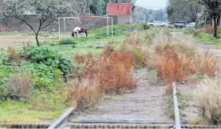  ??  ?? En varios sectores de la ciudad la vía a recuperar ha sido invadida por malezas.