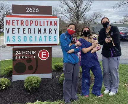  ?? SUBMITTED PHOTO ?? From Metropolit­an Veterinary Associates (Left to right) Cardiologi­st, Dr. Megan Poad with Princess; Neurology nurse, Brooke Free with Ollie; Neurologis­t, Dr. Lisa Lipitz with Tooch. All dogs were rescued through Finding Shelter Animal Rescue.