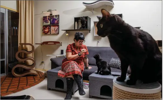  ?? (Photo for The Washington Post by Caitlin O’Hara) ?? Kate Benjamin with three of her 13 cats at home in Phoenix, Ariz. Benjamin is co-author of the bestsellin­g books “Catify to Satisfy” and “Catificati­on.”