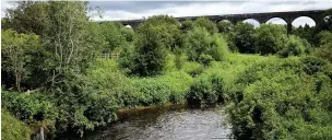  ??  ?? ●●The gruesome find was made in Reddish Vale Country Park