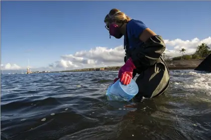  ?? MENGSHIN LIN — THE ASSOCIATED PRESS ?? Christiane Keyhani, program coordinato­r of Hui O Ka Wai Ola, fills up the bucket to test water quality at the Mala Wharf on Friday, Feb. 23, 2024, in Lahaina, Hawaii.