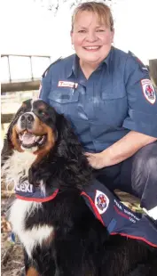  ??  ?? Paramedic Joanne Algie has received an Ambulance Service Medal in the Australia Day honours for her care for patients, colleagues and those in need and in which her six-year old peer support Bermese Mountain dog Lexi has played an important role.