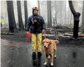  ?? AP ?? Eric Darling and his dog Wyatt are part of a team searching a mobile home park in Paradise, California.