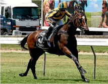  ?? PHOTO: RACE IMAGES/PALMERSTON NORTH ?? Pukekohe mare Untamed Diamond is having a successful campaign in Sydney.