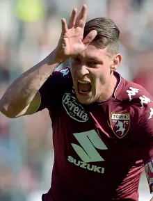  ??  ?? Pericolo principale Andrea Belotti, il «Gallo», attaccante del Torino e della Nazionale. A destra Giampaolo Pazzini, centravant­i e capitano dell’Hellas