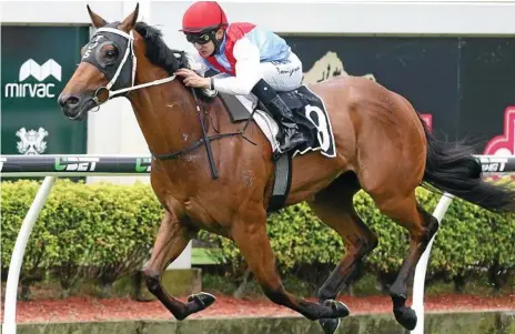  ?? Photo: JONO SEARLE/RACING QUEENSLAND ?? ON THE ROAD BACK: Promising Toowoomba filly Ardoyne Road winning on debut at Doomben for jockey Nozi Tomizawa. She has returned to trainer Tony Sears’ stable after a three-month break.
