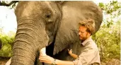  ??  ?? Mike Chase studerar elefanter.