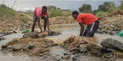  ?? ?? The young men brace for the first shock of cold water as they enter the river, easing their way into another day of illegal gold mining