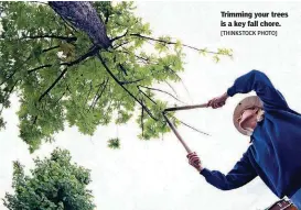  ?? [THINKSTOCK PHOTO] ?? Trimming your trees is a key fall chore.