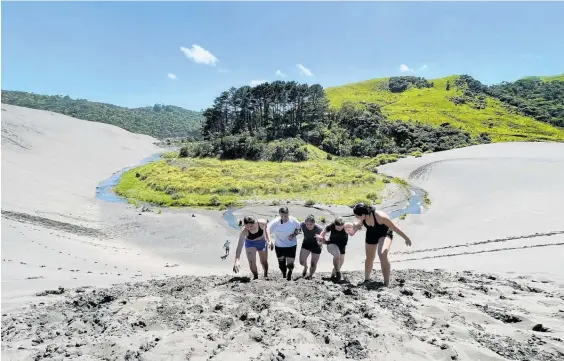  ?? Photo / Peter Meecham ?? Northeaste­rly winds are likely to bring bouts of rain to the northeast North Island, says Niwa.