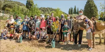  ?? (Photos L. B.) ?? Tous les groupes scolaires sont venus planter des citronnier­s sur la parcelle.