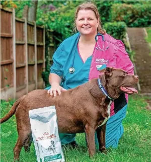  ??  ?? Five-year-old chocolate Labrador cross Paolo has put on weight during lockdown