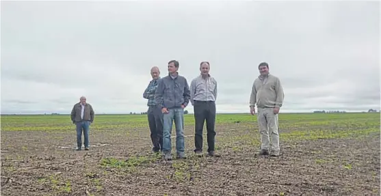  ?? (LA VOZ) ?? Terraza. Un lote recién cosechado de soja en Don Enrique refleja la sistematiz­ación para conservar el agua en Tercero Arriba.