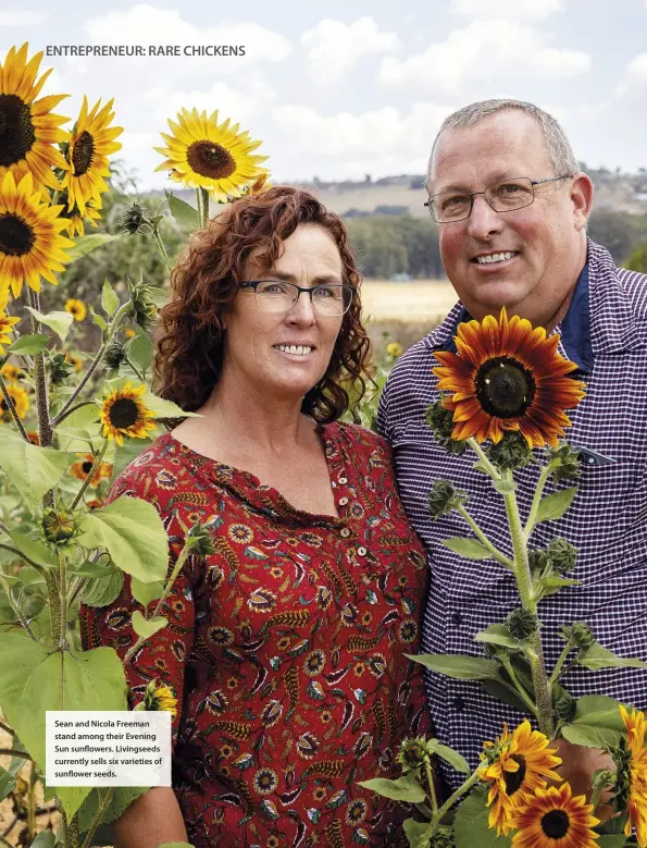  ??  ?? Sean and Nicola Freeman stand among their Evening Sun sunflowers. Livingseed­s currently sells six varieties of sunflower seeds.