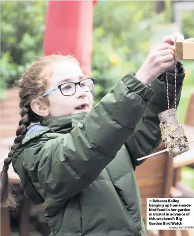  ?? Eleanor Bentall/RSPB ?? > Rebecca Bailey hanging up homemade bird food in her garden in Bristol in advance of this weekend’s Big Garden Bird Watch