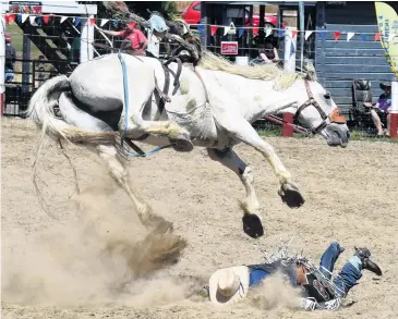  ?? PHOTOS: STEPHEN JAQUIERY ?? Eating dust . . . Joseph Whitelock, of Hastings, has a fall during the open saddle bronc event at the Outram Rodeo.