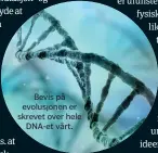  ??  ?? Bevis på evolusjone­n er skrevet over heleDNA-et vårt.