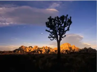  ??  ?? Frontlit Sil houette
We usually associate silhouette­s with backlight, but one of my favourite types of light is the frontlit silhouette. This situation can occur anytime the sun is at your back but an object in the foreground is shaded. In this scene...