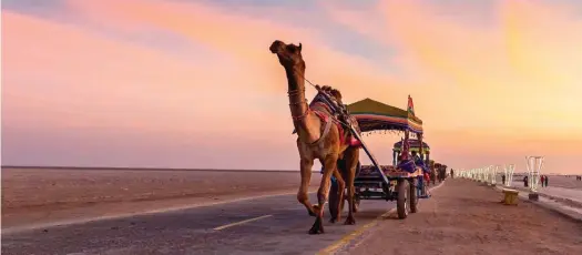  ??  ?? (Right) From art galleries to handicraft stalls, Rann Utsav offers it all in the middle of nowhere; (below) take a camel cart ride through the salt desert of Rann of Kutch.