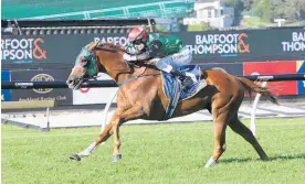  ?? Photo / Trish Dunell ?? Johnathan Parkes and Ocean Billy are well clear approachin­g the winning post at Ellerslie.