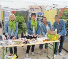  ?? FOTO: LEOPOLD RANK ?? Die Gemeindeve­rtreter aus Riedlingen informiert­en die vielen Besucher in Pöchlarn über die Partnersta­dt.