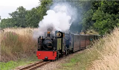  ?? GERRY BALDING ?? Bure Valley Railway No. 8 John of Gaunt and No. 6 Blickling Hall head up Wroxham Bank en route to Aylsham with the line’s 30th anniversar­y special on July 10.