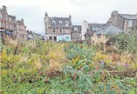  ?? ?? Overgrown
The site of the former Strathearn Hotel in Crieff. Pic: Brian Wilton