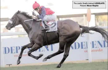  ?? The Justin Snaith-trained LEGISLATE. Picture: Nkosi Hlophe ??