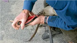  ??  ?? Budden became a farrier after watching one at work.