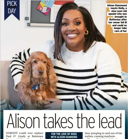  ?? ?? Alison Hammond meets Nelly, a nine-year-old spaniel who was brought to Battersea after her owner fell ill and could no longer take care of her