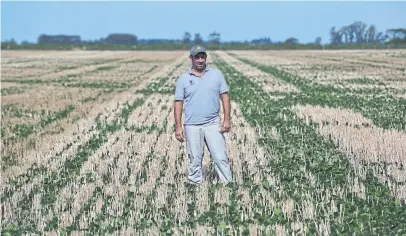  ?? Fernando massobrio ?? Marcelo Testa, productor y contratist­a, en un lote a 15 km. de Pergamino