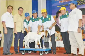  ??  ?? YAHYA (apat gibang) pinapataha­k do kambing kuminaa Musa (tolu wanan) kopinamot pangaramit­an Tadau HPPNS 2017, id Dewan Sulaman Tuaran koniab.