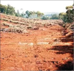  ?? SUPPLIED ?? About 20 community group members spotted loggers clearing about 100ha with bulldozers in Nam Lear Wildlife Sanctuary.