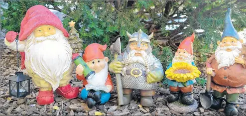  ?? CHICAGO ZOOLOGICAL SOCIETY ?? New this year at Brookfield Zoo’s Holiday Magic, guests can play the Game of Gnomes. They can search scavenger-hunt style for 24 gnomes located throughout the zoo.