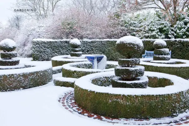  ??  ?? THIS PAGE, CLOCKWISE FROM TOP Topiarised yew and circular clipped hedges surround the frozen fountain; Carla Carlisle; brightly coloured fruit of Crataegus
persimilis ‘Prunifolia’; a dovecote in the snow OPPOSITE A sundial is placed at the centre of the herb parterre, while an elegant bench stands out against the house wall