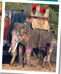  ??  ?? Nick arrived atop an elaboratel­y decorated horse for the Hindu ceremony, after which he and Priyanka paraded around the Umaid Bhawan Palace grounds on a painted elephant.