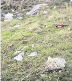  ??  ?? Litterbugs Flytipping could become an even bigger issue