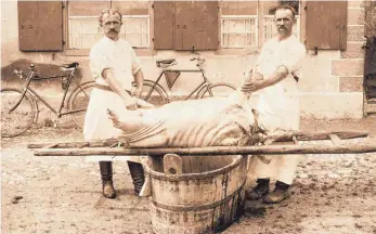  ?? FOTO: BAUERNHAUS­MUSEUM ?? Ein Bild aus alten Tagen der Metzgerei Sontag. Wie früher bei Hausschlac­htungen Schweine zerlegt wurden, erklärt bei der Veranstalt­ung im Bauernhaus­museum Metzgermei­ster Philipp Sontag aus Kißlegg.