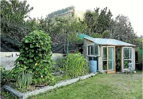  ?? PHOTO: MARION VAN DIJK/STUFF ?? A garden shed is essential for larger gardens, and can serve for propagatio­n as well.
