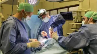  ?? FOTO RR ?? De Antwerpse topdokter Nasser Nadjmi en paardenchi­rurg Tom Mariën herstelden het gespleten gehemelte van een paard.