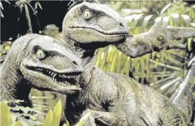  ?? UNIVERSAL STUDIOS ?? Velocirráp­tores recreados en la película ‘Jurassic Park’.