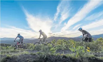  ??  ?? Mountain bikers Xan Demas, Victor Major and Pat Lynch ride on Sky Mountain Park in Aspen during an Aspen Ski Co. bike photo shoot on May 31, 2018.