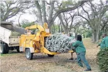  ?? SUBMITTED PHOTO ?? Broward County’s Chip-a-Tree program, which turns used Christmas trees in playground mulch, is now in its 27th year.