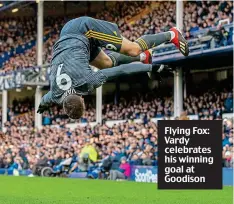  ??  ?? Flying Fox: Vardy celebrates his winning goal at Goodison