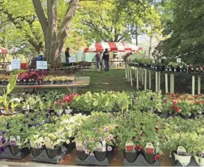  ?? ?? Chadwick Arboretum’s Spring Plant Sale and Auction is the largest two-day plant sale in central Ohio.