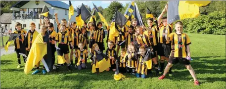  ??  ?? Just some of the Enniskerry supporters who turned up in big numbers at Ashford GAA Club on Saturday afternoon.