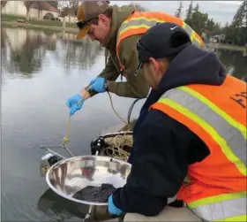  ?? Courtesy photo ?? Representa­tives from HDR collect sediment samples as part of the Ellis Lake baseline water and sediment testing done in January.