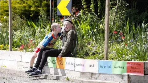  ??  ?? Teri-Ann Heffernan (12) and John Heffernan (6) with their dog Bowe enjoying the crossroads flower garden on the outskirts of Blackwater.