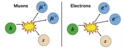  ??  ?? Standard model prediction 1:1